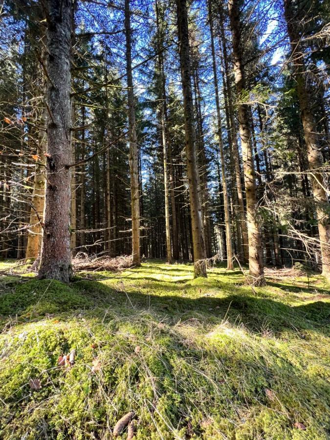 Villa Haus Im Schwarzwald Lenzkirch Esterno foto