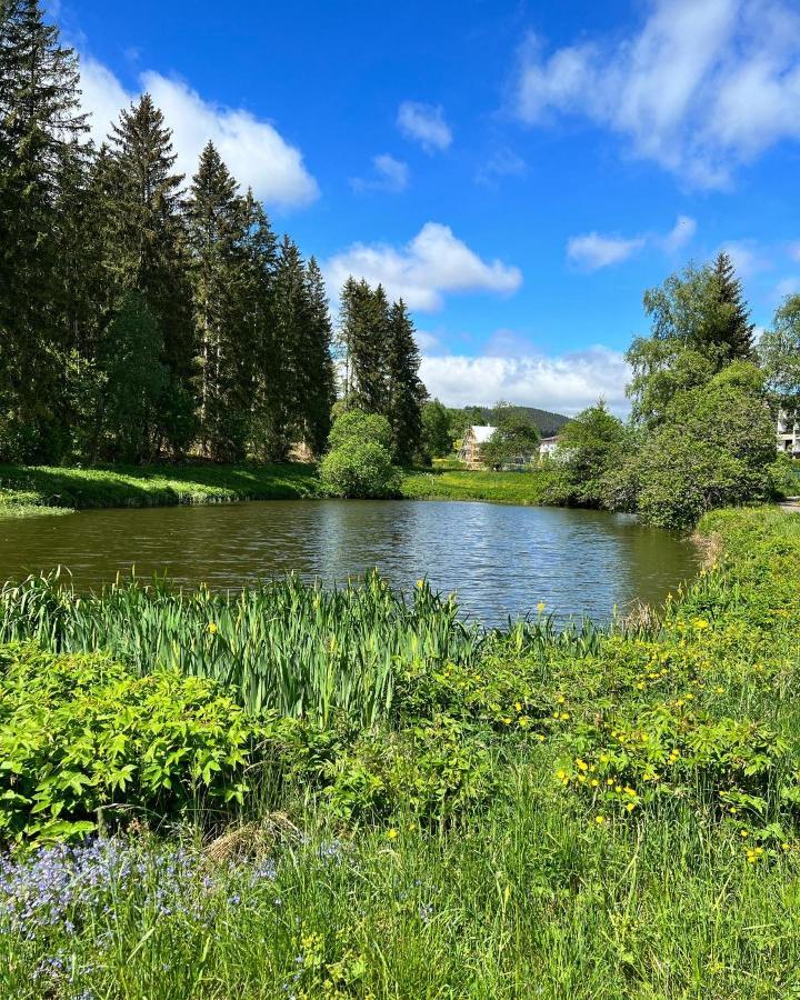 Villa Haus Im Schwarzwald Lenzkirch Esterno foto