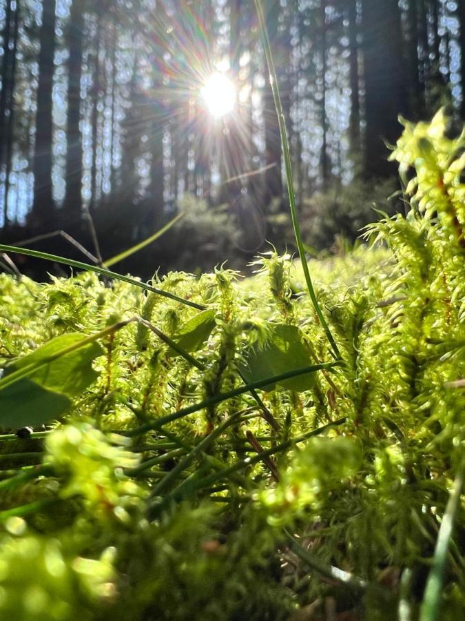 Villa Haus Im Schwarzwald Lenzkirch Esterno foto